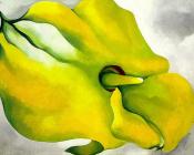 -Unknown - 乔治亚·奥基夫